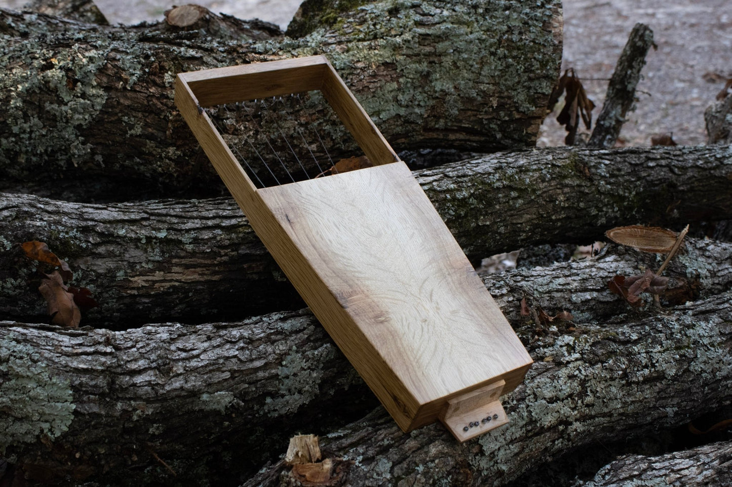 White Oak Soprano Lyreday1wood