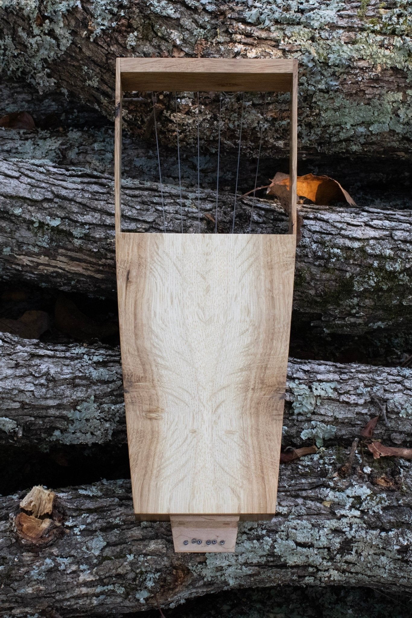 White Oak Soprano Lyreday1wood